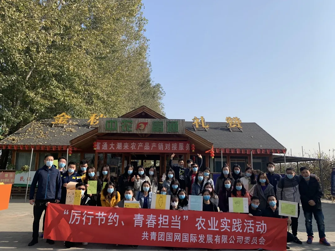 2020年第44周
