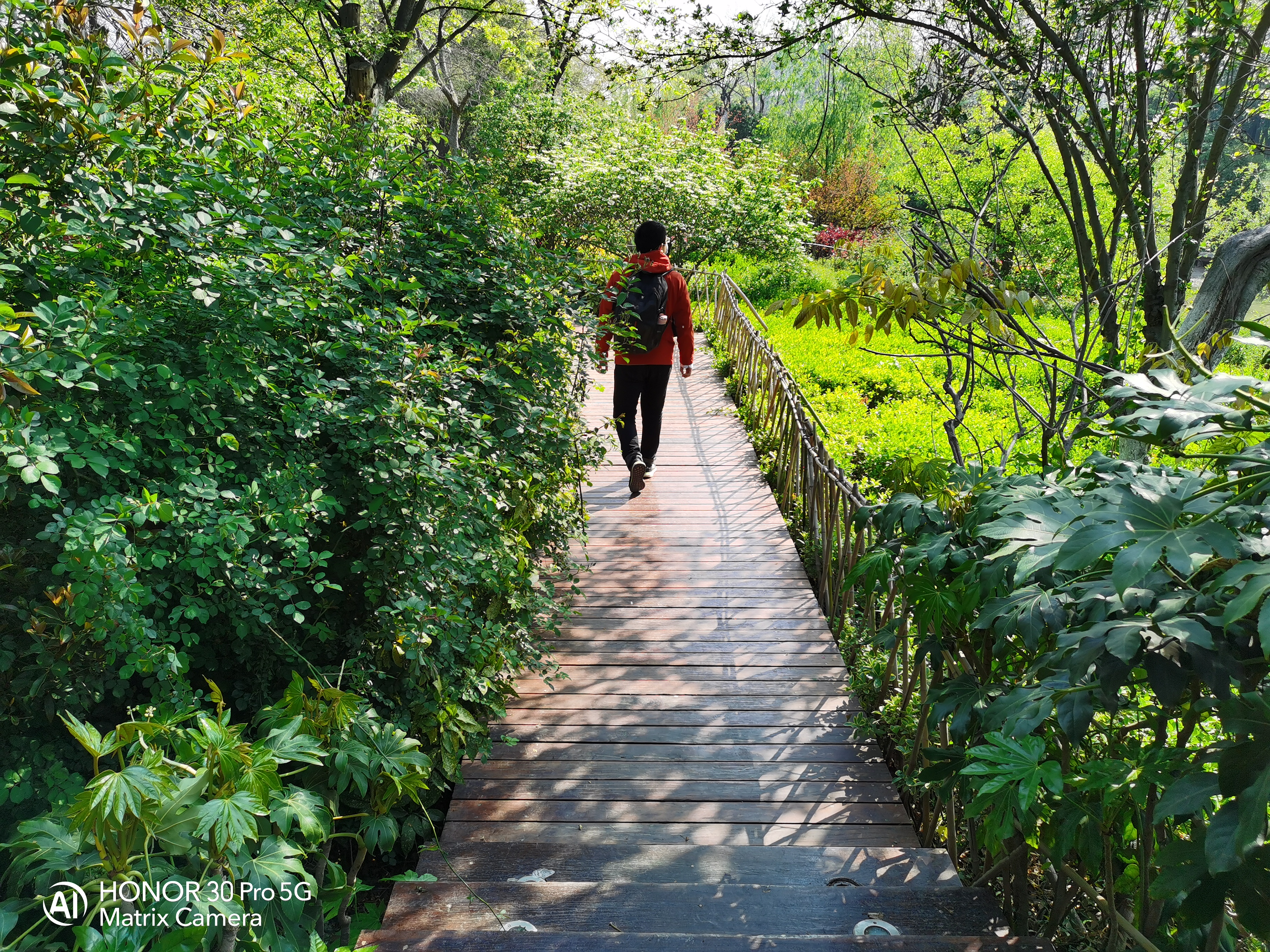 当完全不会拍照的媳妇儿上手测试荣耀30 Pro，你