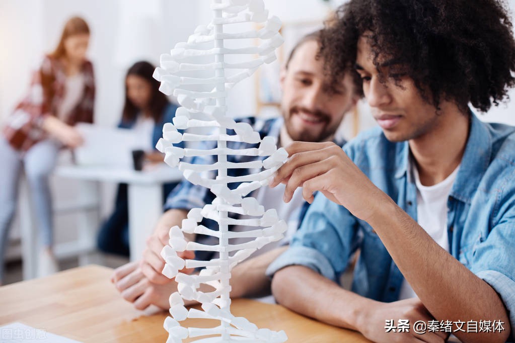 秦绪文：自媒体文章，要怎么写才能够展现高，收益高，涨粉快？