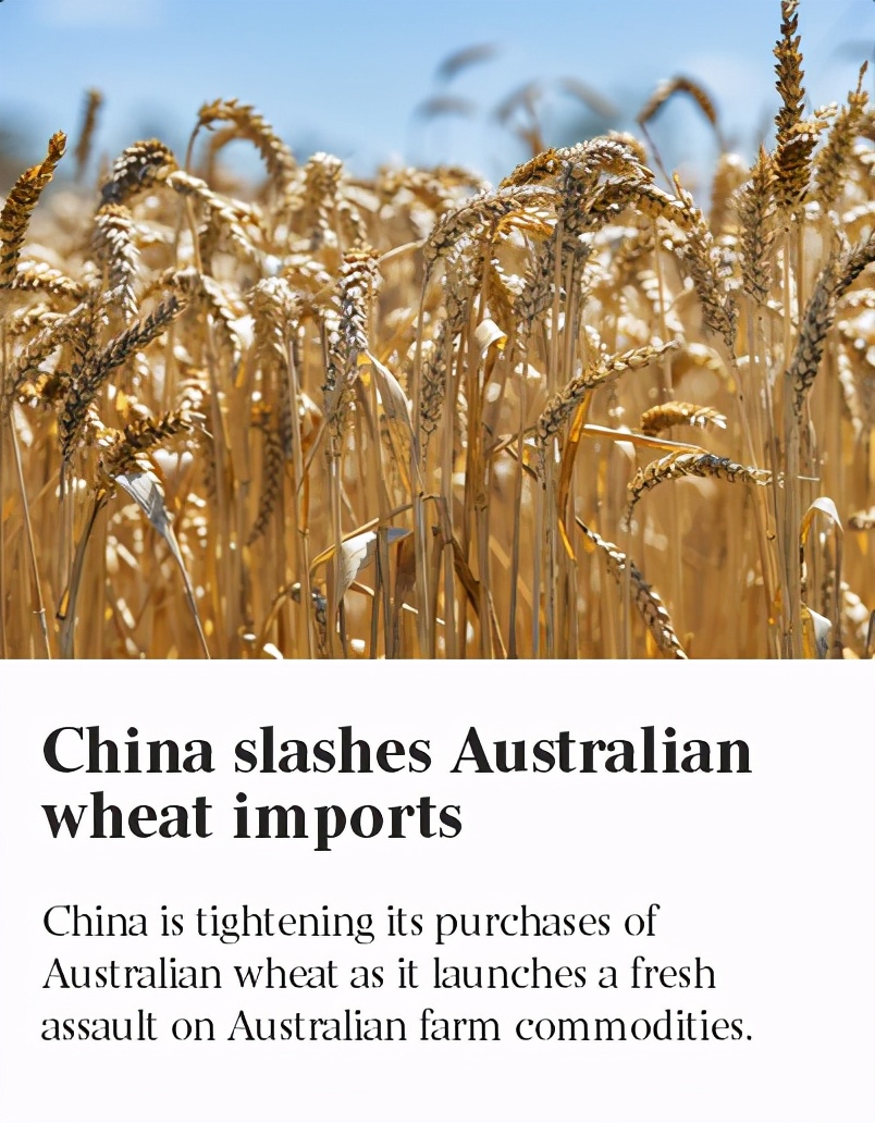 880吨！中国进口澳大利亚小麦创近10年最低