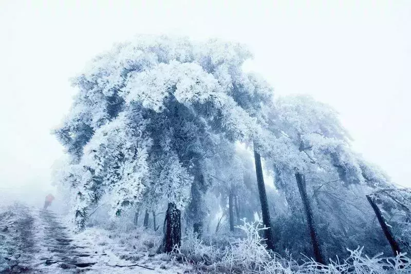 不用去看故宫的雪！钱塘江畔的冰雪霸屏了……美翻了整个江南！