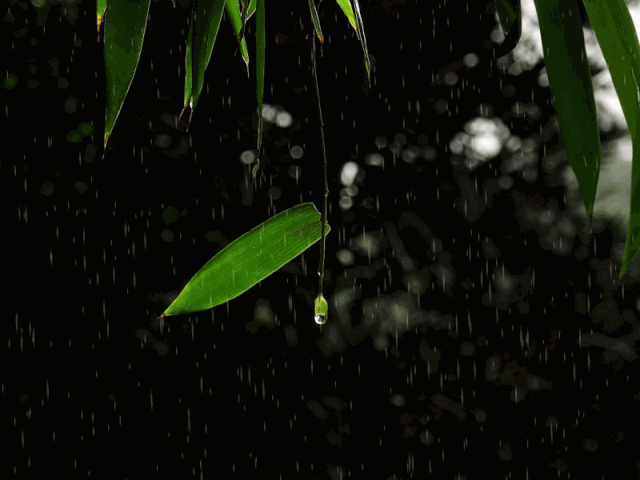 -十三首夏雨诗词，原来夏雨可以这么美，你喜欢哪一首？-第21张图片-非凡网