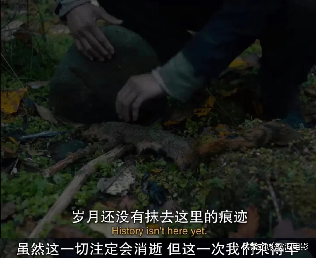 今年最爱的片子来了,这才是电影啊