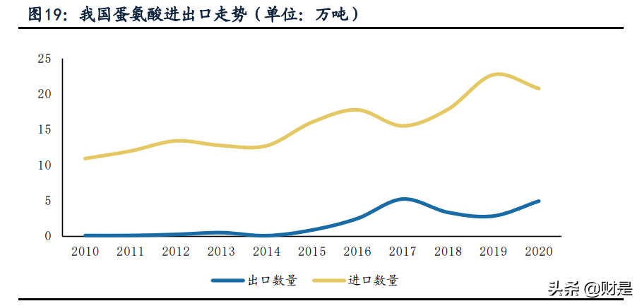 新和成专题报告：多平台、新项目 助力公司发展再上台阶