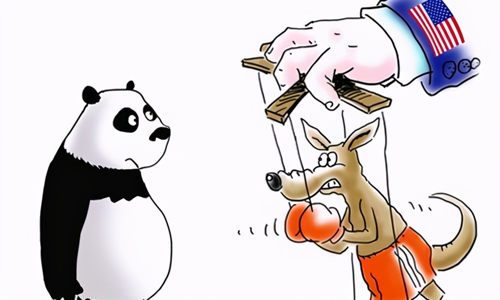 求锤得锤！中国画师新作猛怼澳总理，网友：你要的道歉来了