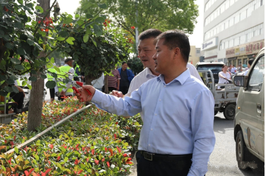 河南南阳：市城市管理局开展“市花月季义务修剪”主题党日活动