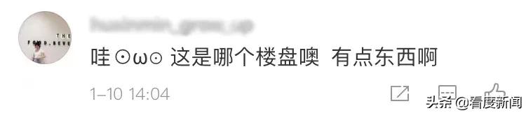 火遍全网、万人打卡的狮子王，我们找到了他的“幕后老大”