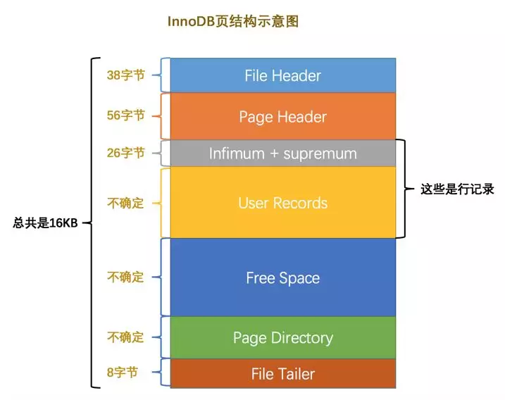 Mysql引擎InnoDB数据存储的基本单位是什么？