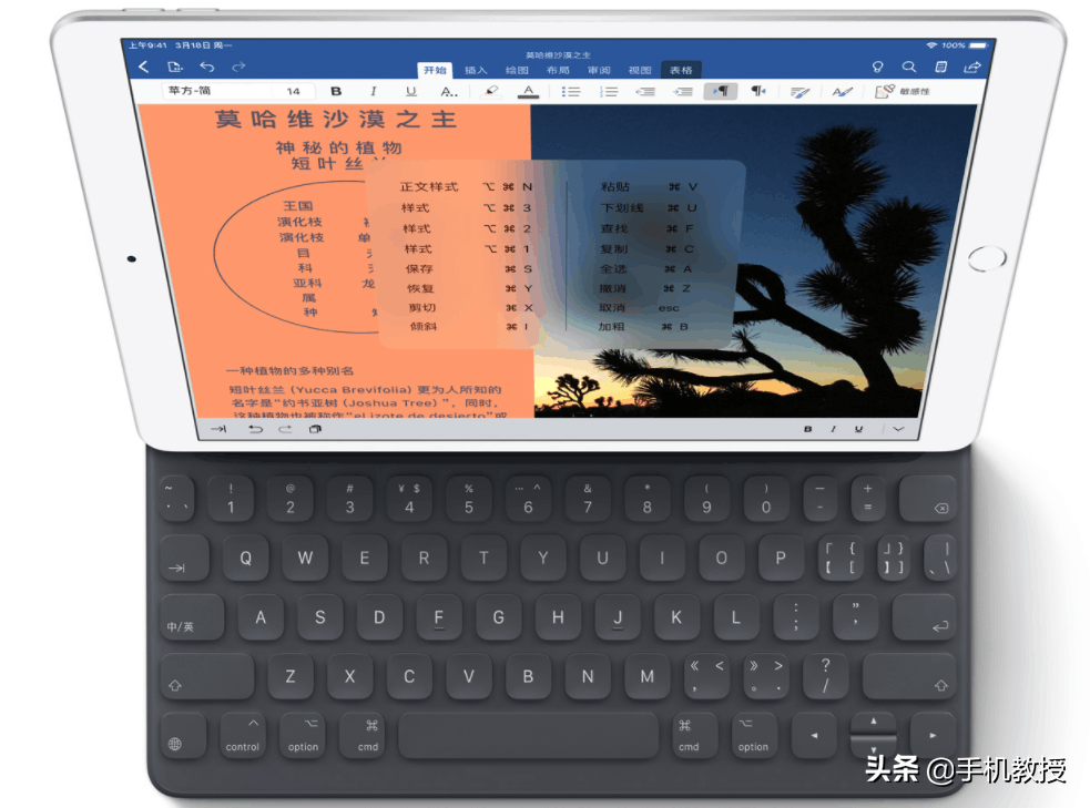 iPhoneiPad mini开售了，配备升級，价钱幸福！