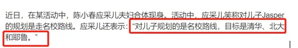 應采兒兒子近照罕爆，豪宅內跺腳被質疑擾民，當眾擦屁股不雅觀