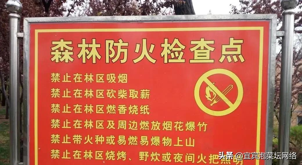 “防”字当头,宜宾防火令“升级”!今年有些不一样