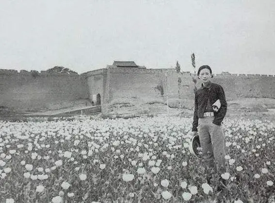 女神还是绿茶？钱钟书的一席话把林徽因的“不