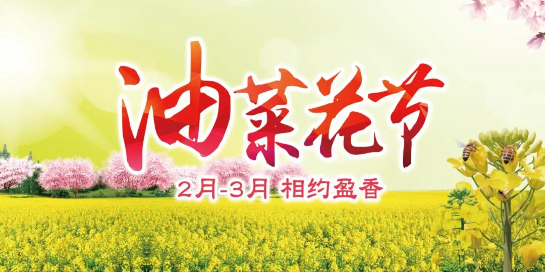 「百花盛会」油菜花开遍地黄！请收下这份来自春天的礼物