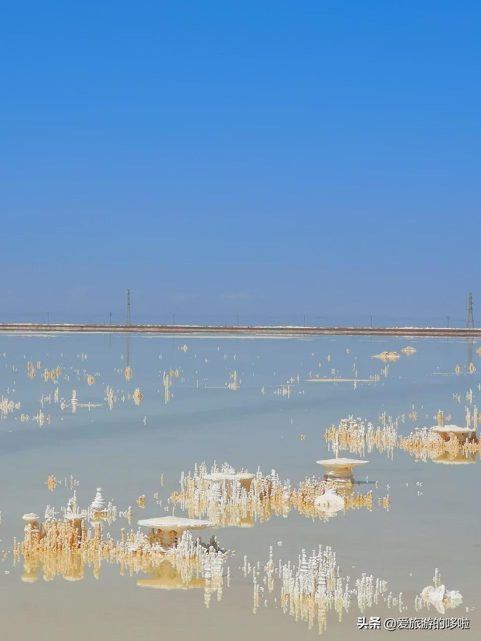 青海值得旅游的地方 青海湖最佳旅游月份(圖26)