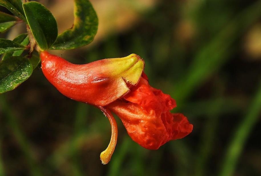 写给奔六的60后：人到老年，宁可孤独，也别轻谈感情，要警惕