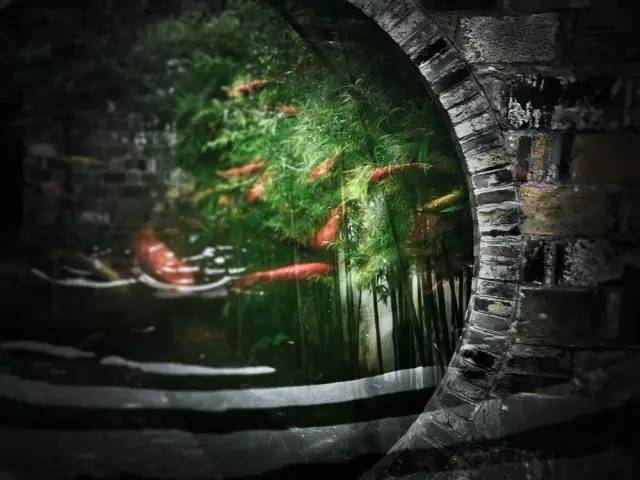 得失之间 - 得失之间的人生感悟图片