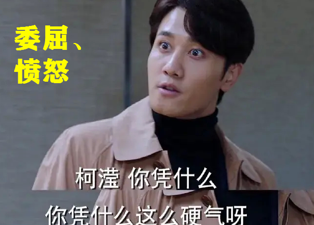 阳光之下封潇声终成掌中之物虐妻一时爽追妻火葬场输得很彻底