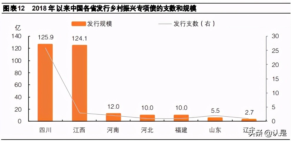 乡村振兴专题研究报告：钱从哪里来？