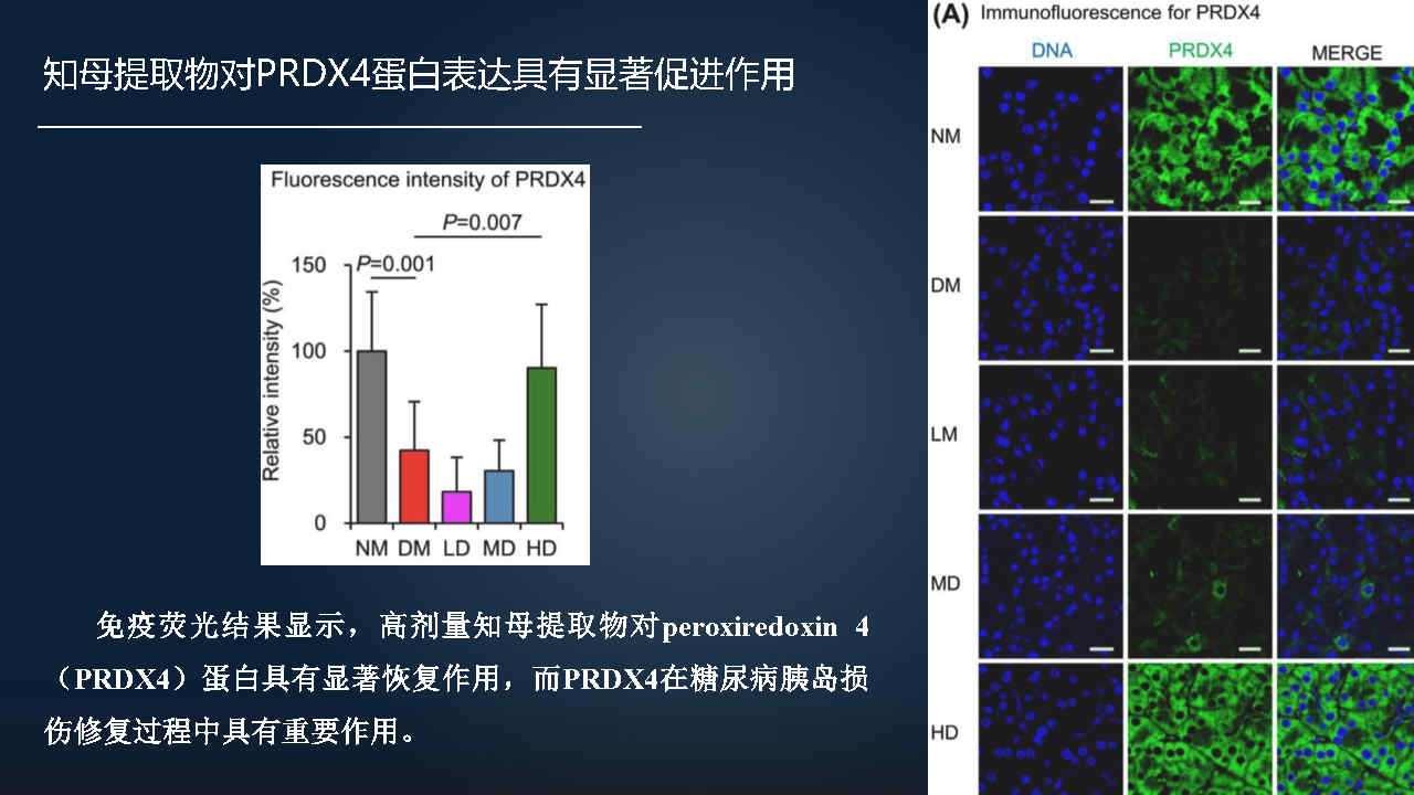 马百平：20分钟详解从有效成分到肠道菌群，中药如何突破？