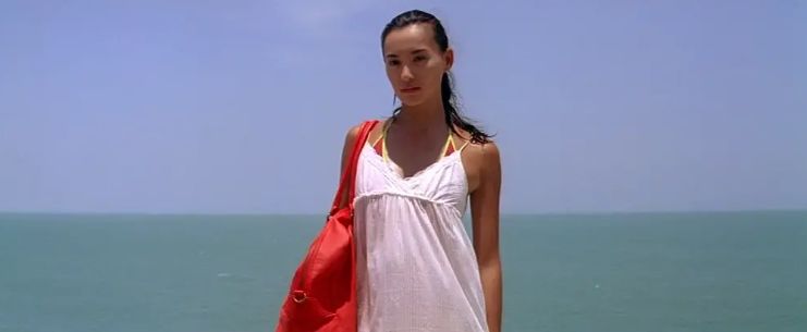 豆瓣评分只有6.6，2008年，我因为本片认识廖凡