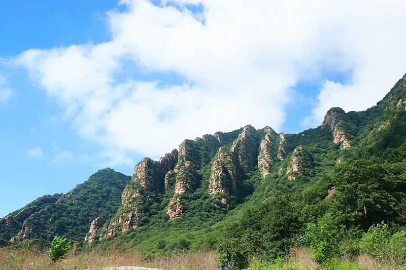 教师节 | 老师游梨木台免门票