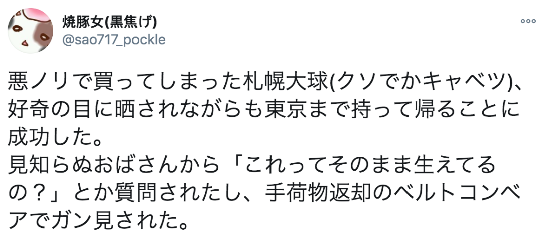 壮观！日本网友买到比购物车还要大的卷心菜！这也太夸张了吧