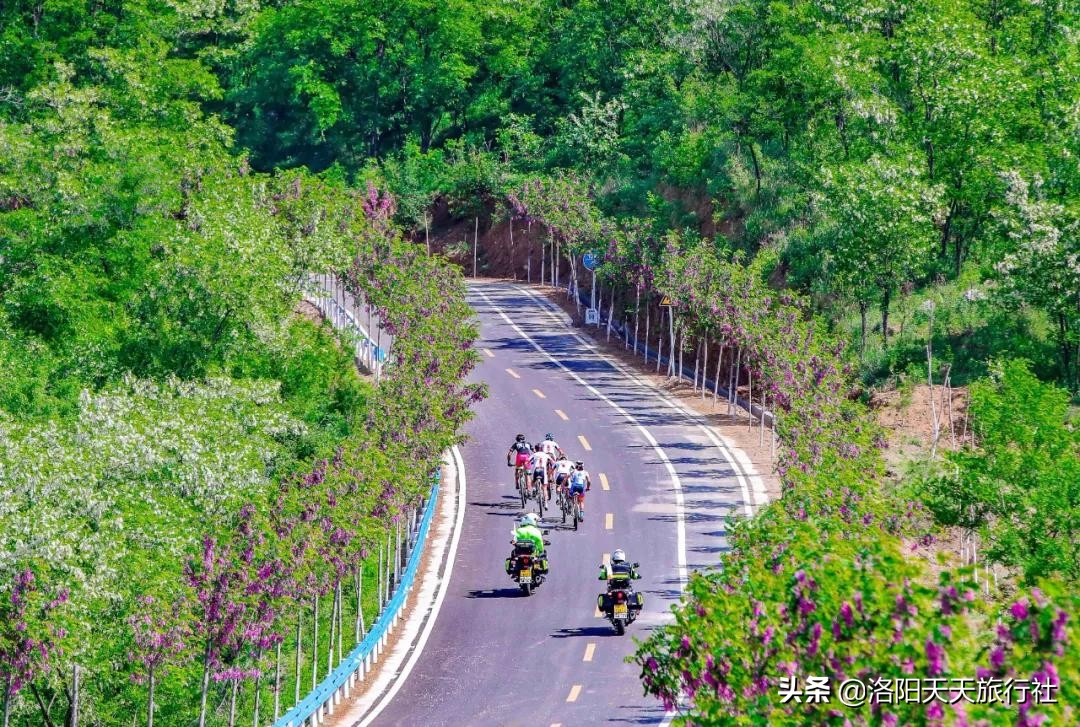 洛阳自驾游路线推荐——10条“最美乡村旅游路”