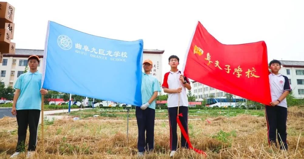 校园里竟然掀起麦浪！曲阜这两个学校真有心