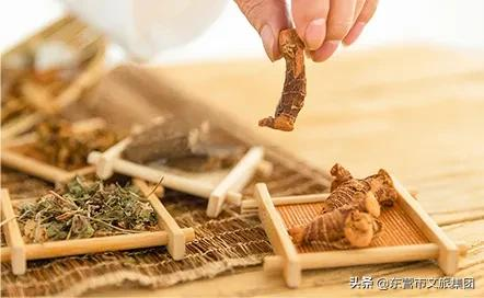 花仙谷中草药园景观全新升级！中医药研学新亮点