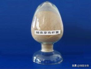微生物菌有多强大，种植、水产、养殖都离不开它！（一）
