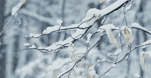 诗词鉴赏-一片雪花落在手，十首听雪诗词，感受古人诗意的冬天-第10张图片-非凡网