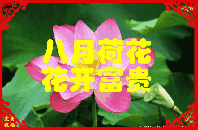 今日元宵节，祝福送上