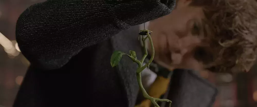 这部片的长度,再多漂亮姐姐都受不鸟