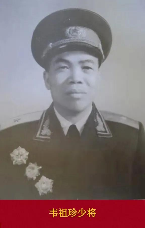 �й������ž��״����θ���������ί����