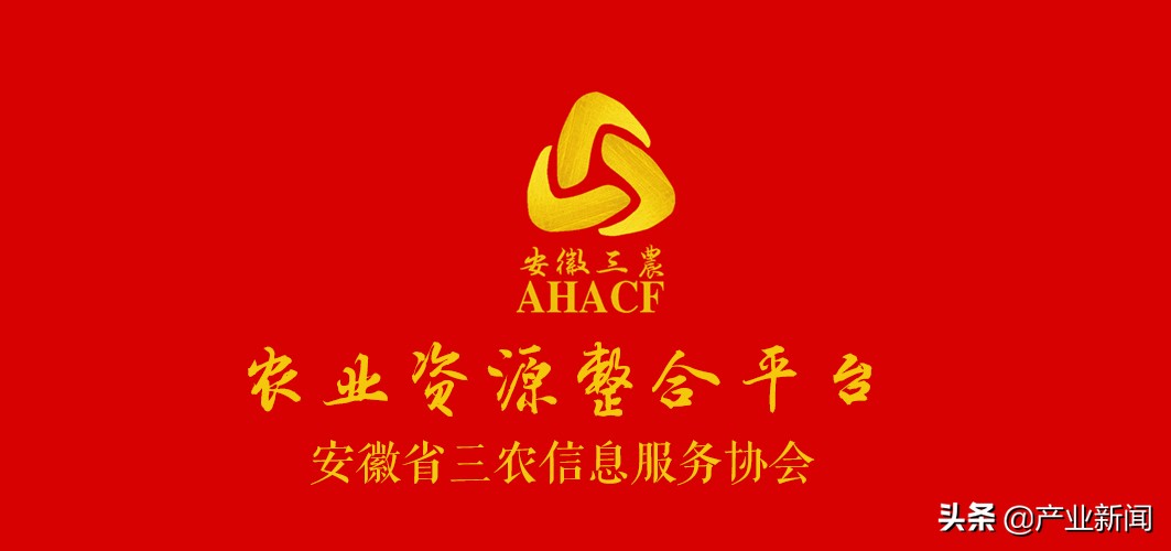 今年粮食价格会飙升到前所未有的高度吗？
