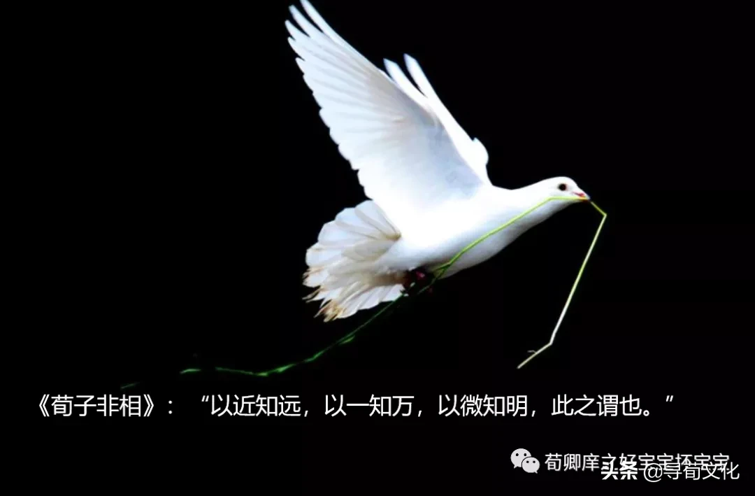 以一知万 荀子四字成语荀卿庠读书会整理 荀子名言 中国荀子网 荀子原名荀况 尊称荀卿 本网研究荀子及荀子思想 汇聚研究荀子成果