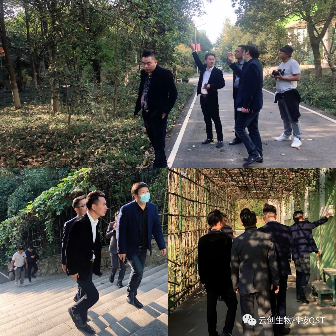 专业专注，匠心可见——中创集团考察团前往李时珍医药集团考察