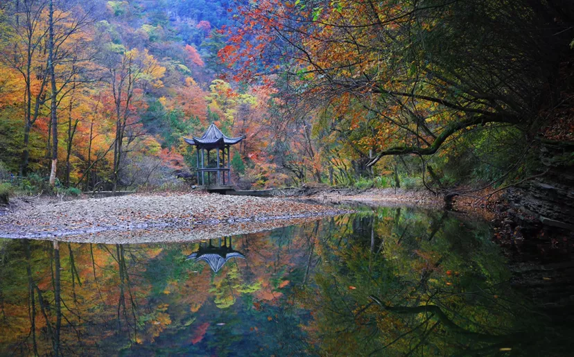 There is a heartbeat called the autumn of the Qinba Mountains!  Red leaves in clear autumn, encounter romantic scenery