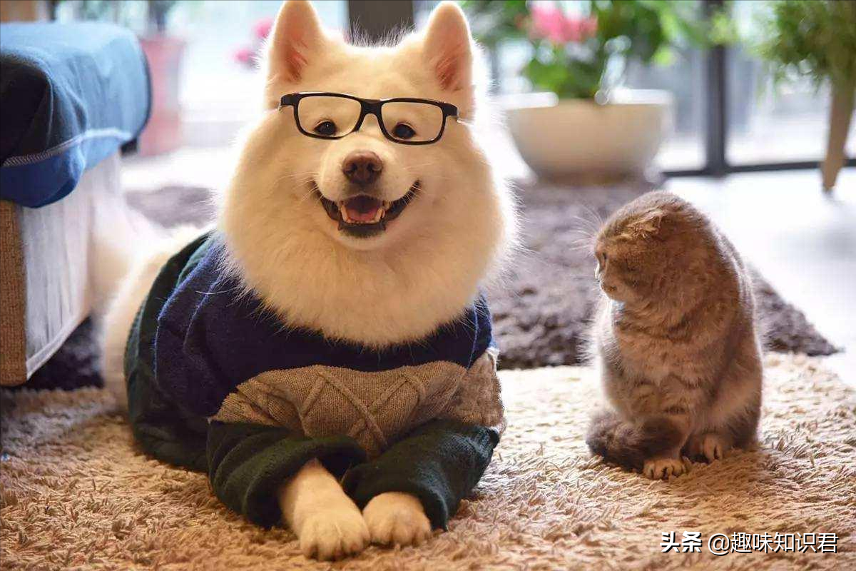 盤點生活中有趣的冷星空体育官网入口网站，讓我們一起揭開生活的另一麵