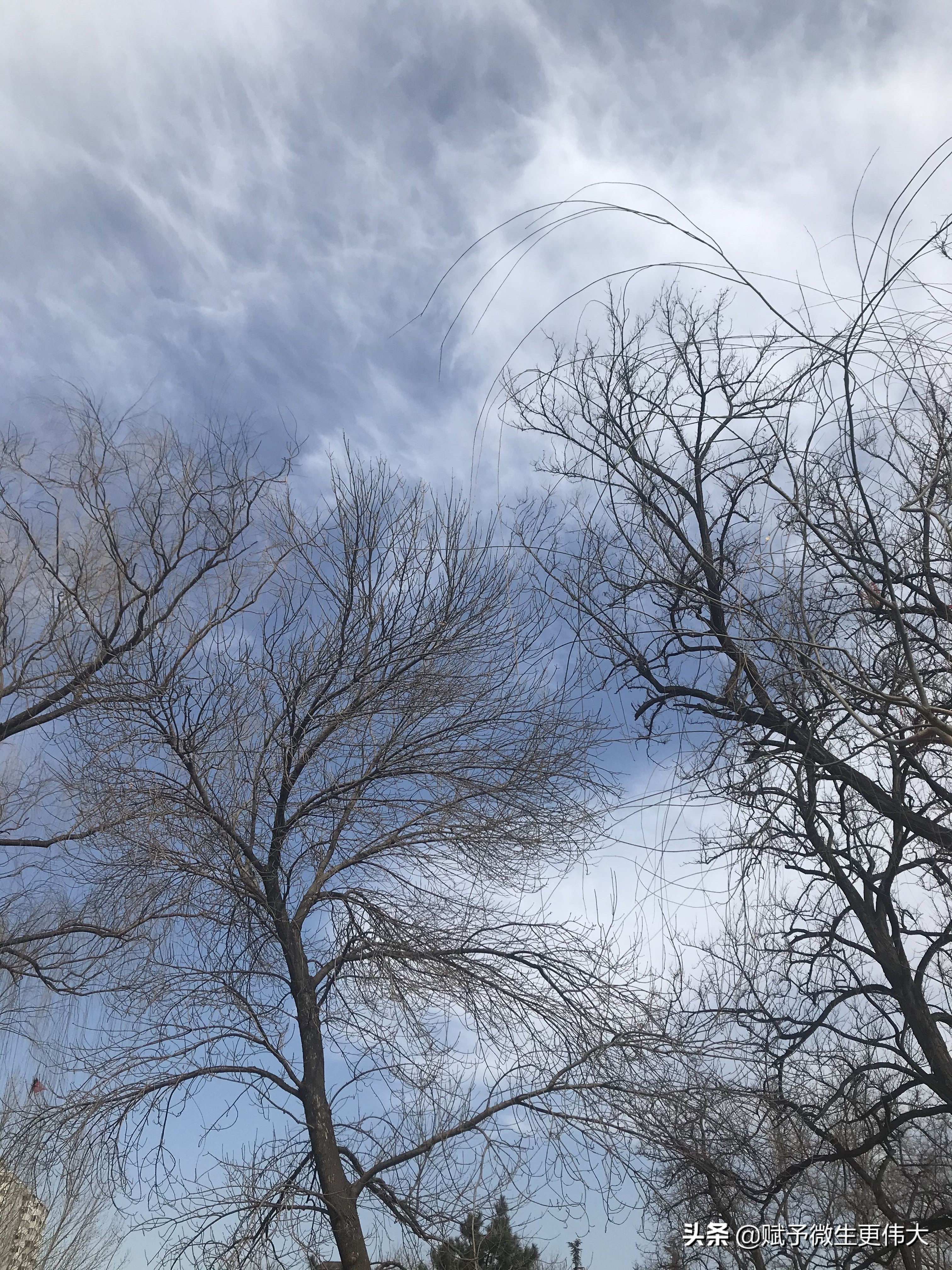水又生——是日破冰鸭先知