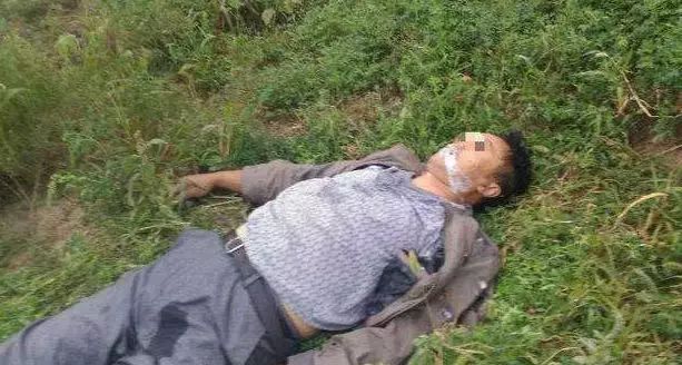 贵州小区多只狗狗被毒死，这是什么毒药？有多毒？曾有人用来杀人