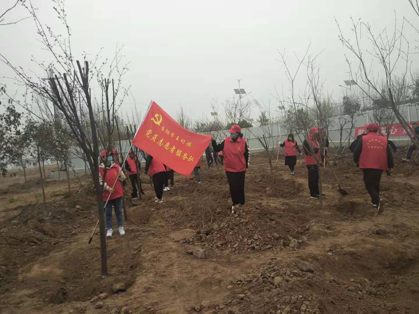 荥阳市王村镇：春风催新绿    植树正当时