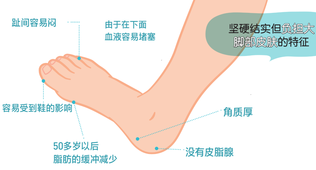 硬邦邦的老茧 会痛的鸡眼 日本皮肤科专家教你矫正足部恶习 健康与美容 Mdeditor