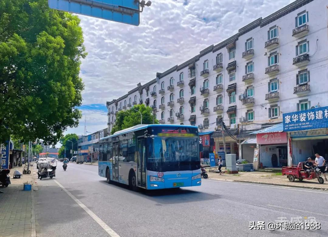 这里是,杨店