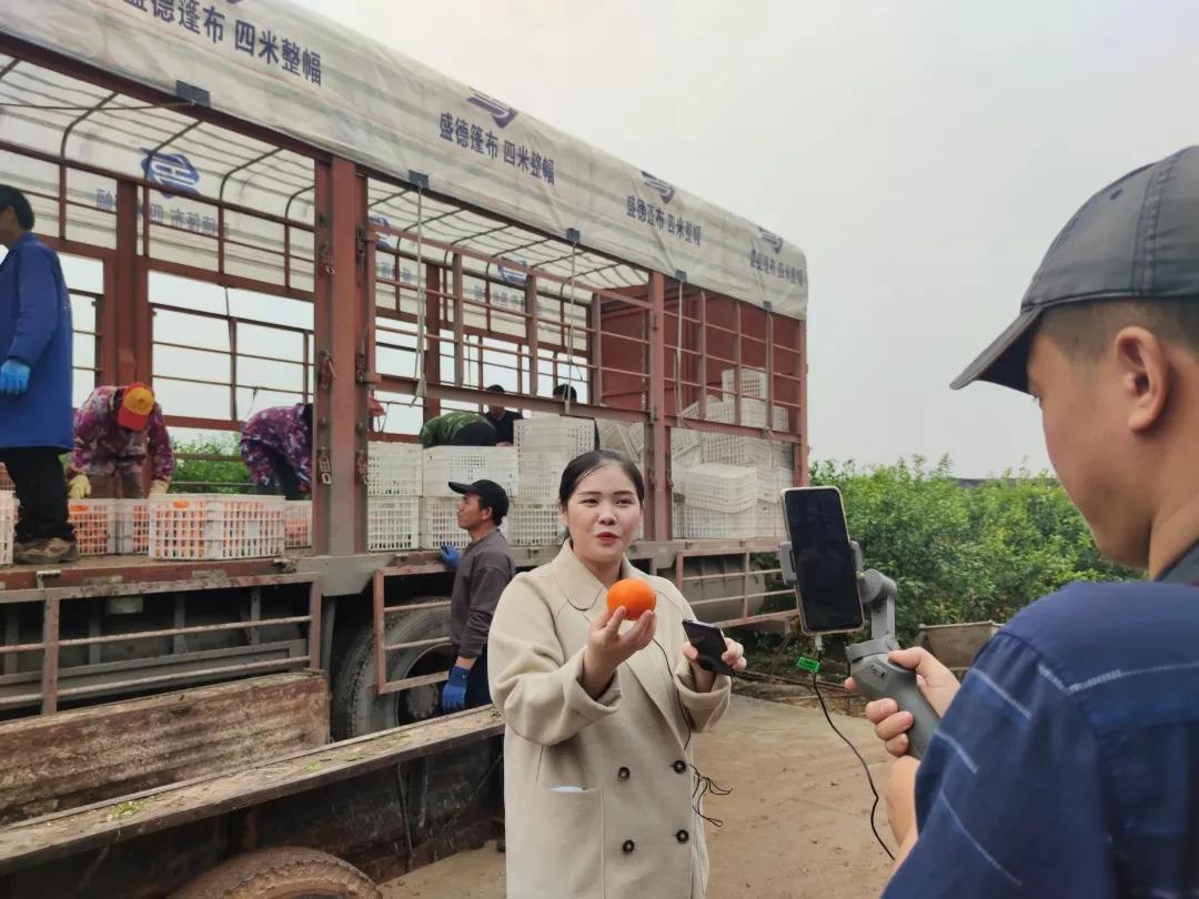 ������ɫ�ָ̣�����������԰��ֱ������������