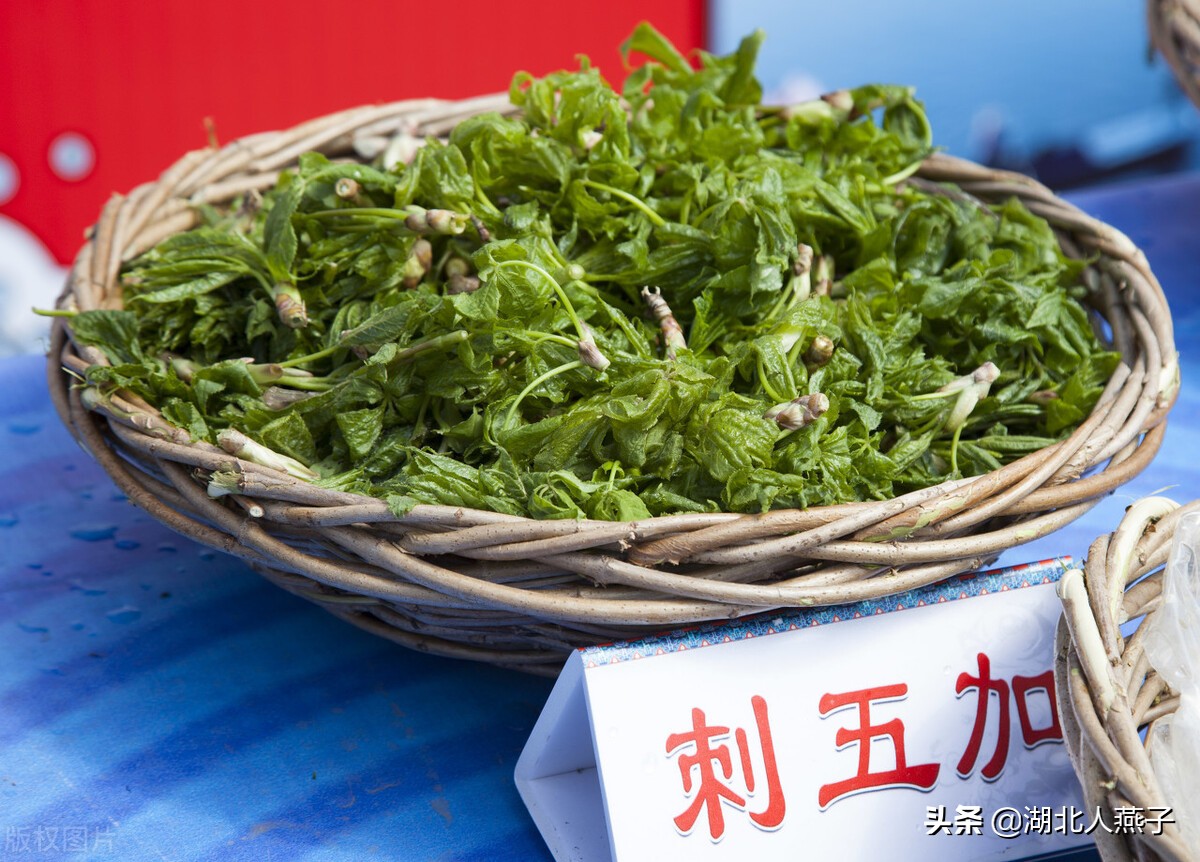 春天来了，去云南旅游可以吃的特色野菜有些啥？ - 知乎