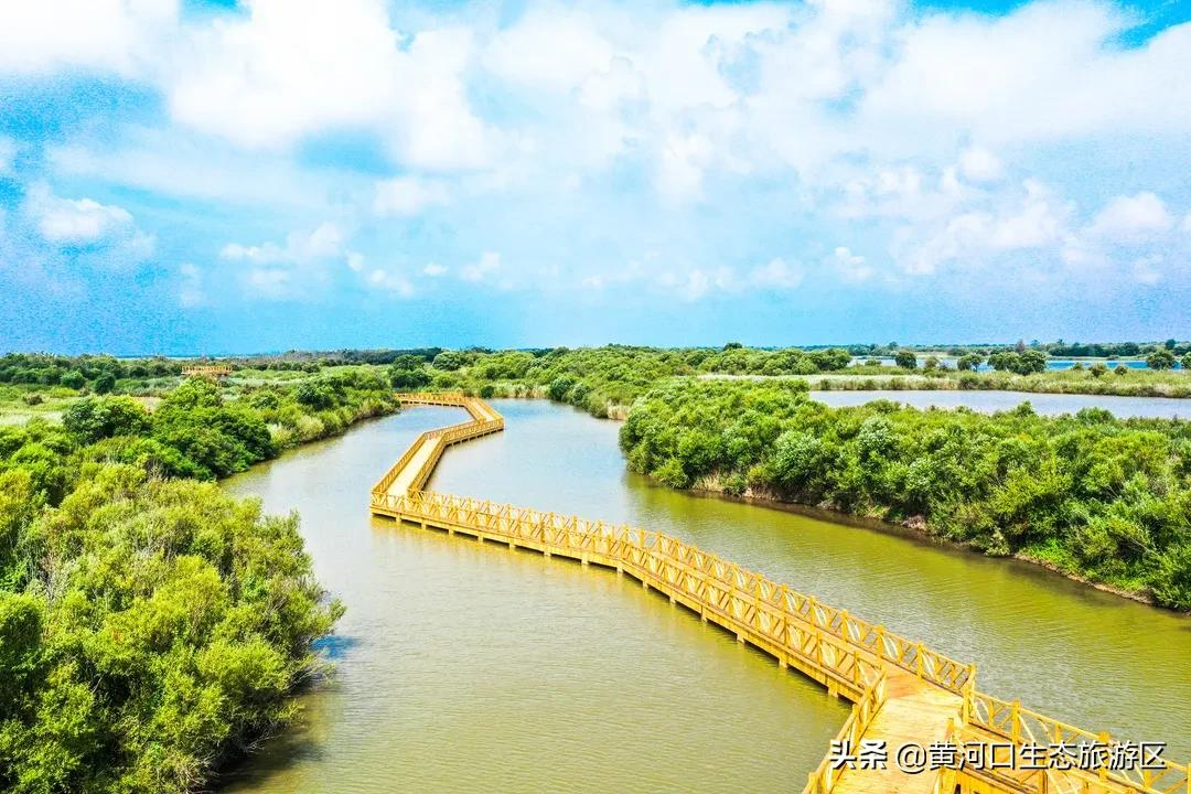 【黄河口生态旅游区】重逢