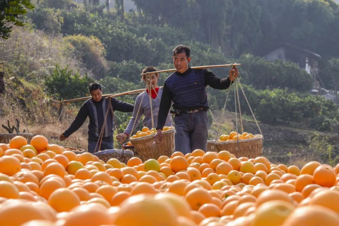 ����MMC�׽���ɴ�����۸��࣬�����úܶࡱ