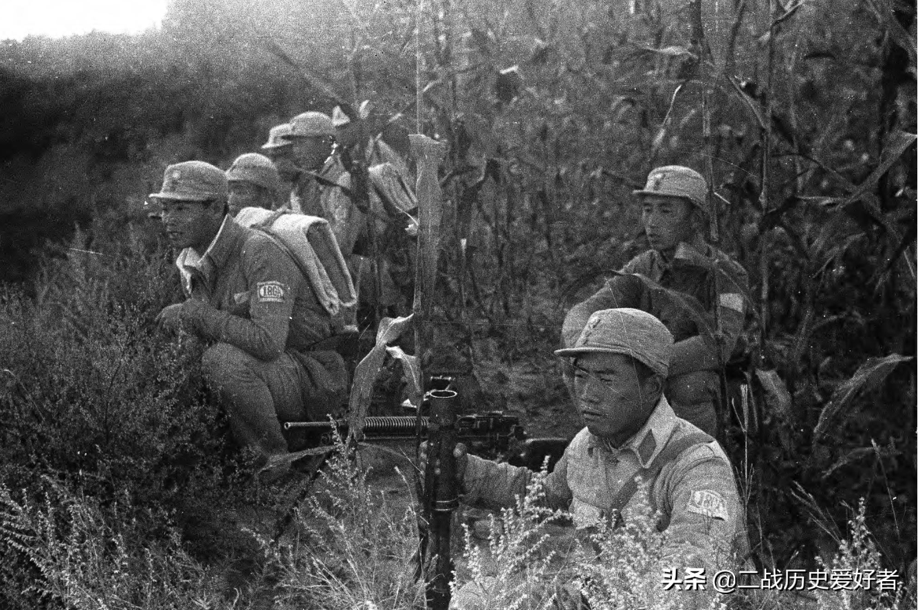 实拍躲在高粱地打伏击的八路军，跟我们在电视