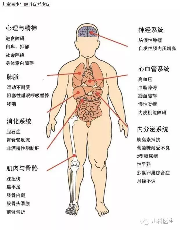 华人家长注意！别让孩子吃太胖，在澳洲体重增长过快会被举报